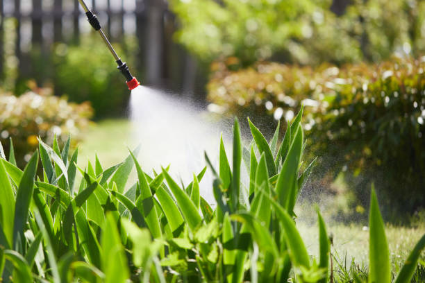24/7 Emergency Wasp Removal experts in Superior, NE